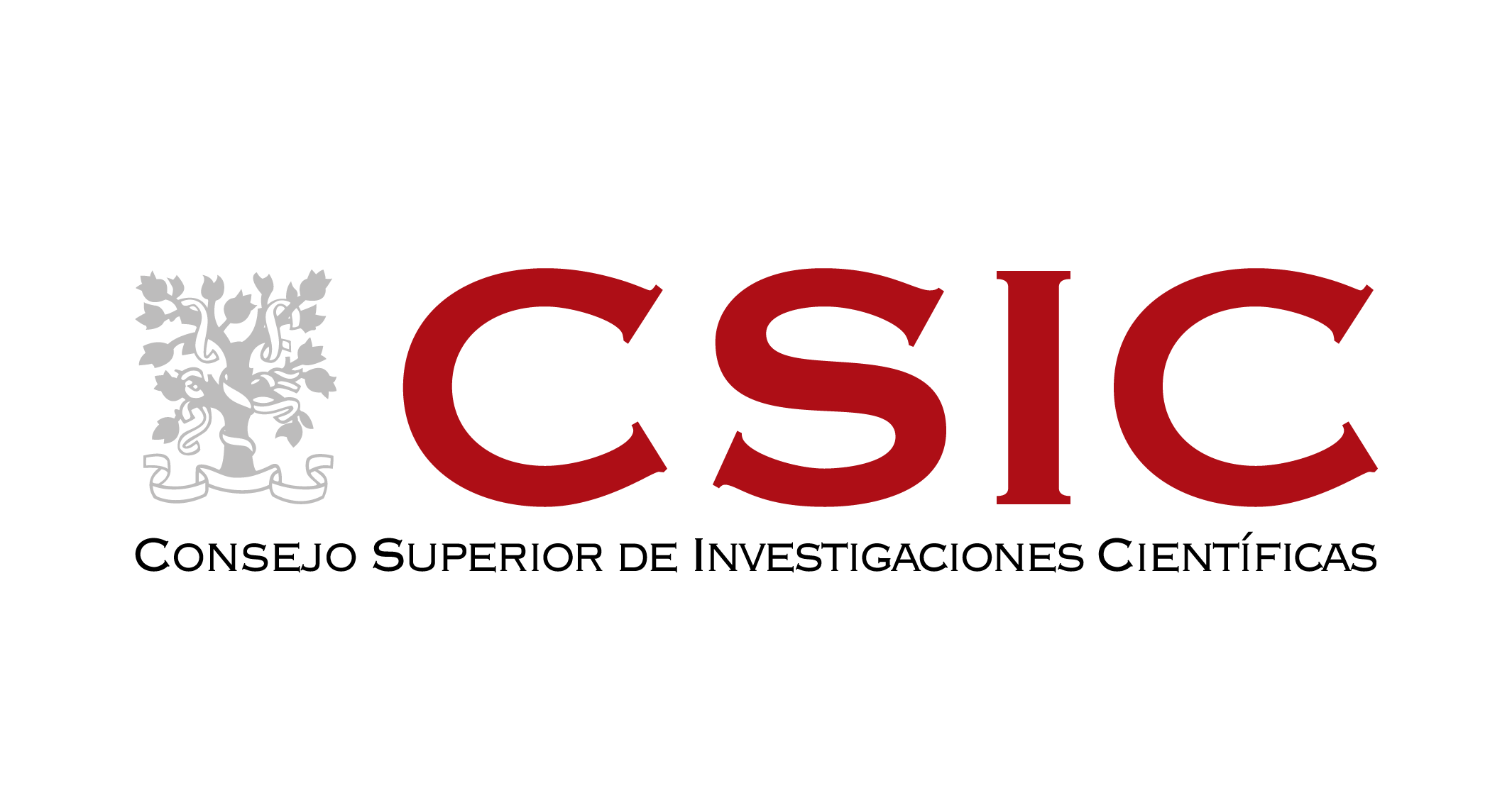 CSIC-Logo-Color_RGB300ppp